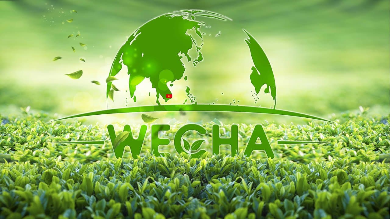 WECHA - Tinh Hoa Trà Việt Video TVC