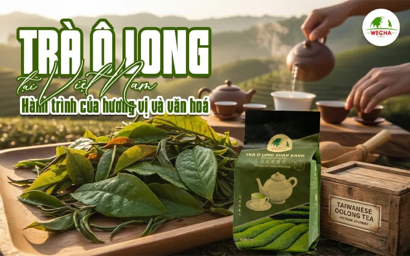 Trà Ô Long tại Việt Nam: Hành trình của hương vị và văn hóa
